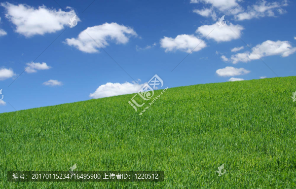 夏季野外野外2