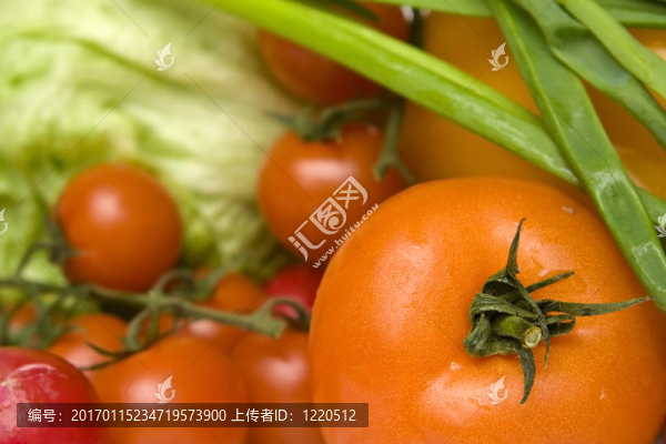 蔬菜