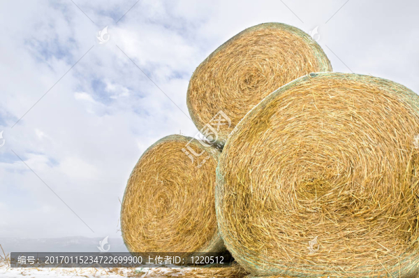 3疊Bales,of,Hay