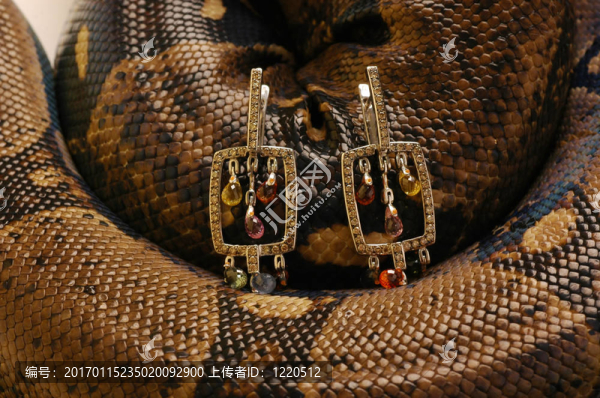 蛇9