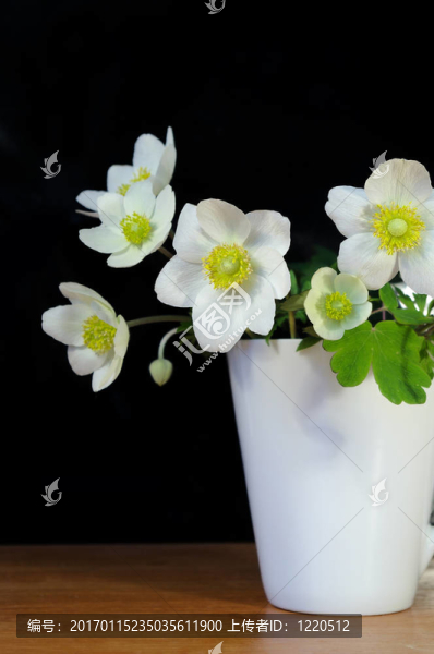 一束鮮花在一個杯子里