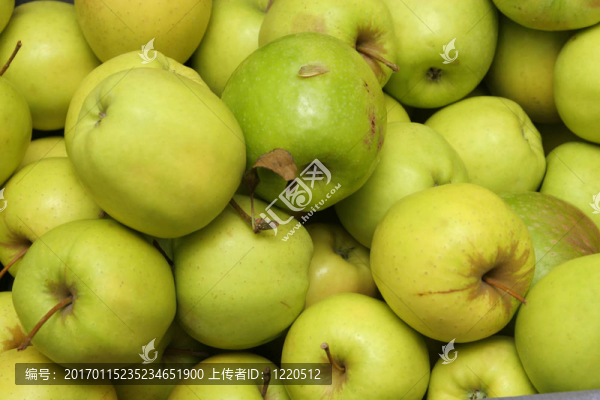greenapples