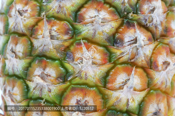 菠蘿紋理