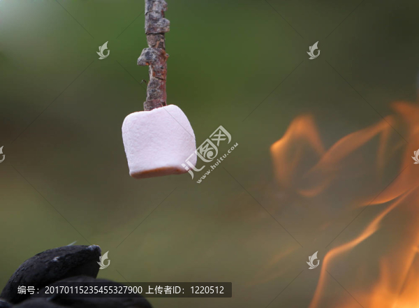 烤棉花糖