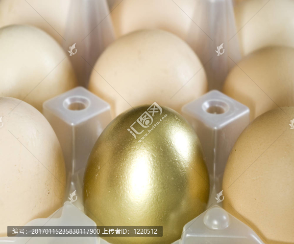 金蛋