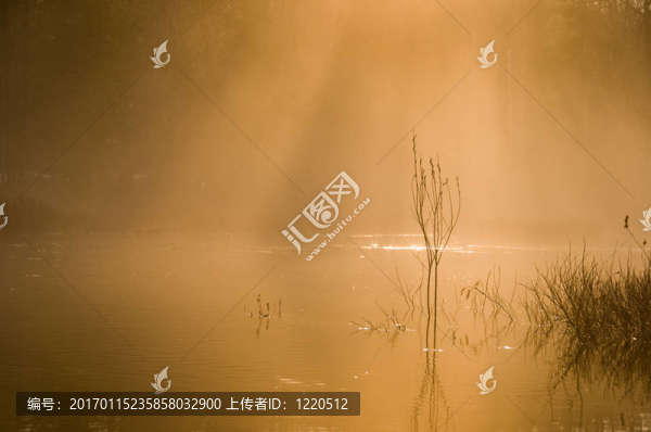 清晨的薄霧