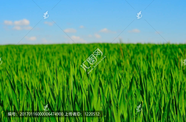 近場(chǎng)-匯圖網(wǎng) www.fosd68.com 近場(chǎng)