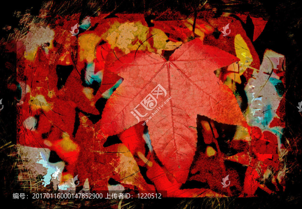 紅色的秋葉