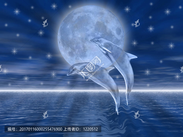 海豚