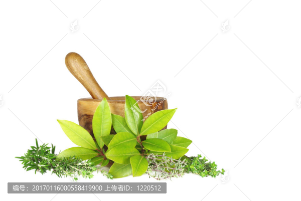 一湯匙新鮮香料