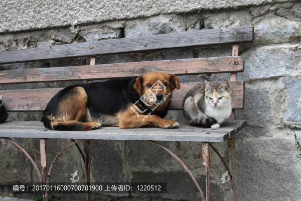 愛