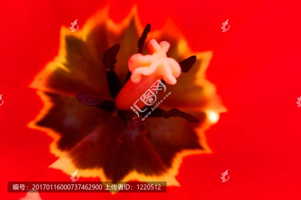 背景-匯圖網(wǎng) www.fosd68.com 背景