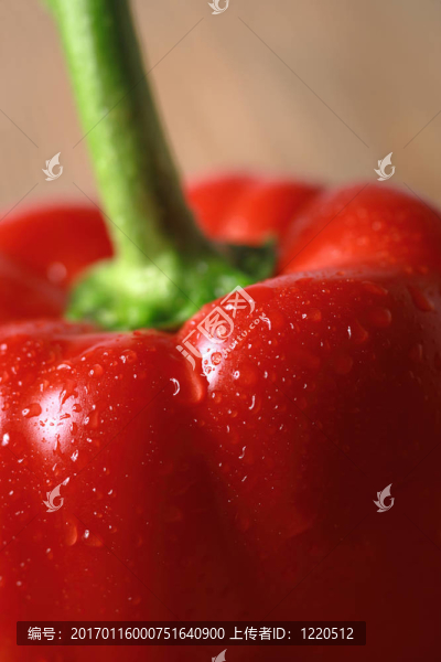 紅辣椒-匯圖網(wǎng) www.fosd68.com 紅辣椒