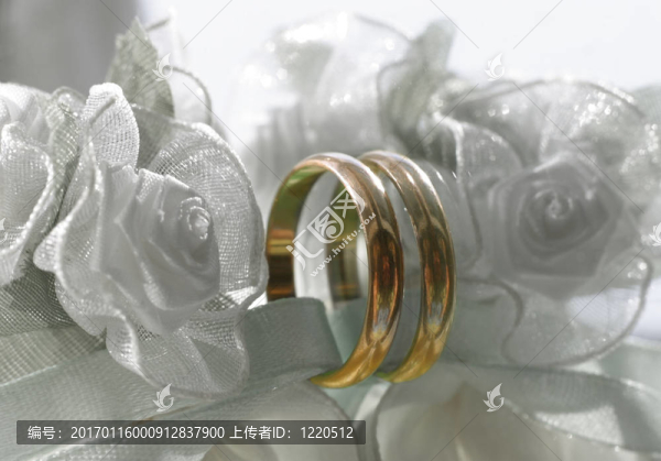 結(jié)婚戒指-匯圖網(wǎng) www.fosd68.com 結(jié)婚戒指