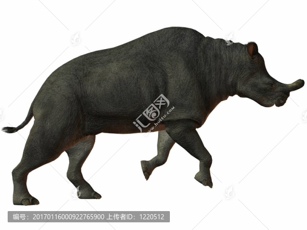brontotherium-3d恐龍