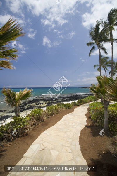 夏威夷走道