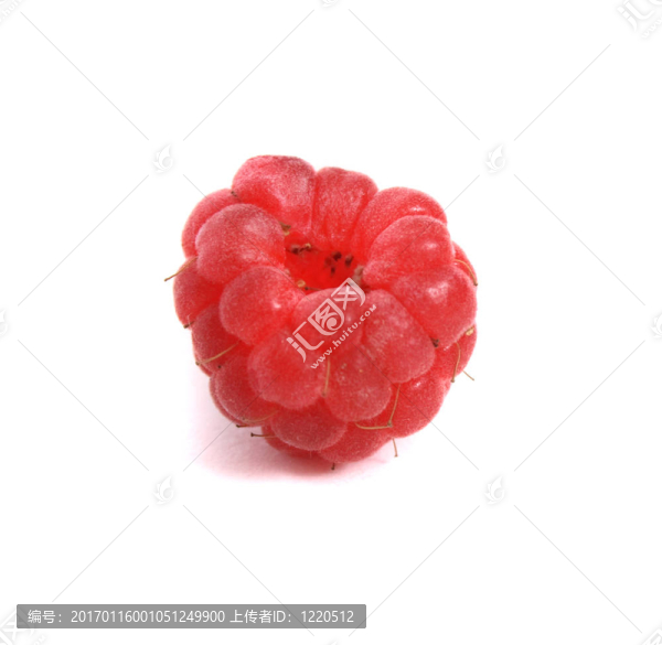 覆盆子