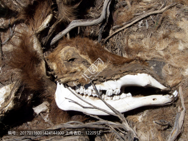 仍然是一天-匯圖網(wǎng) www.fosd68.com 仍然是一天