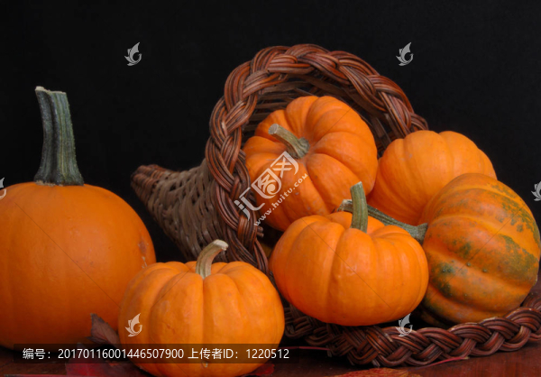 豐富的南瓜-匯圖網(wǎng) www.fosd68.com 豐富的南瓜