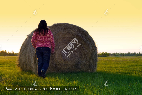 農(nóng)場上的活