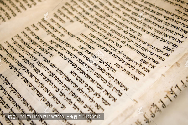 古老的Torah,Scoll