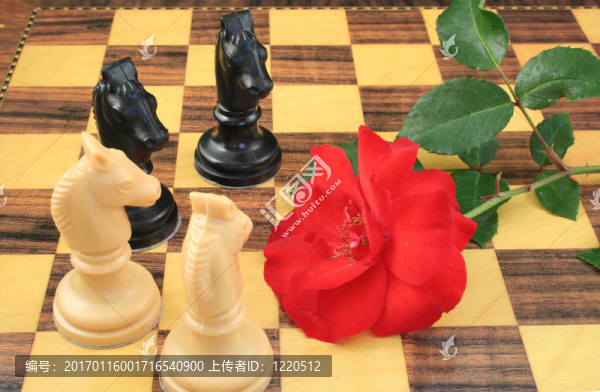 愛(ài)下棋