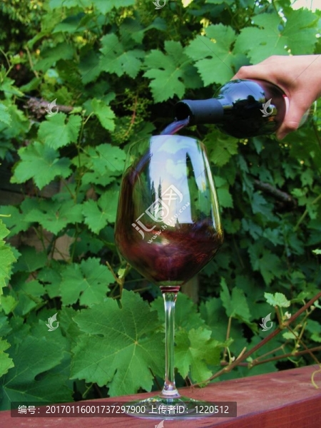 倒一些酒-匯圖網(wǎng) www.fosd68.com 倒一些酒