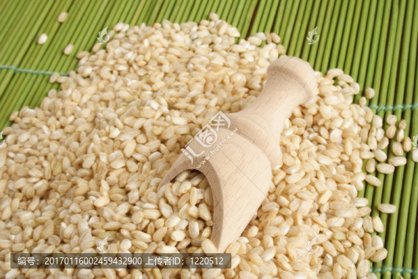 糙米-匯圖網(wǎng) www.fosd68.com 糙米