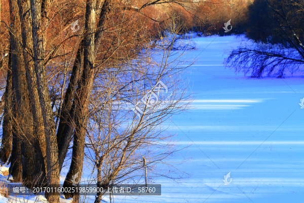 冰河樹林