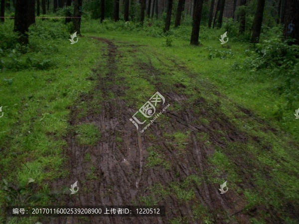 骯臟的道路