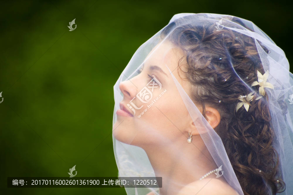剖面的未婚妻