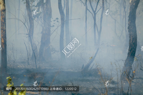 火災(zāi)后煙