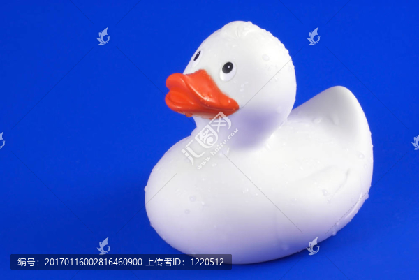 可愛濕橡皮鴨。