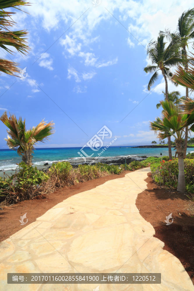 夏威夷走道