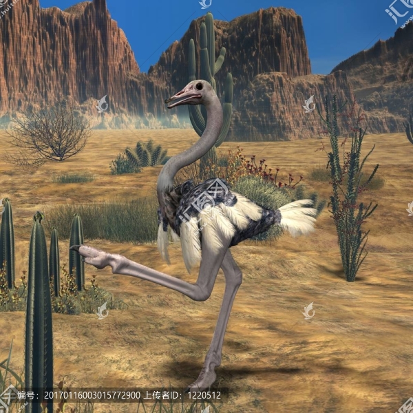 ostrich-3d動(dòng)物