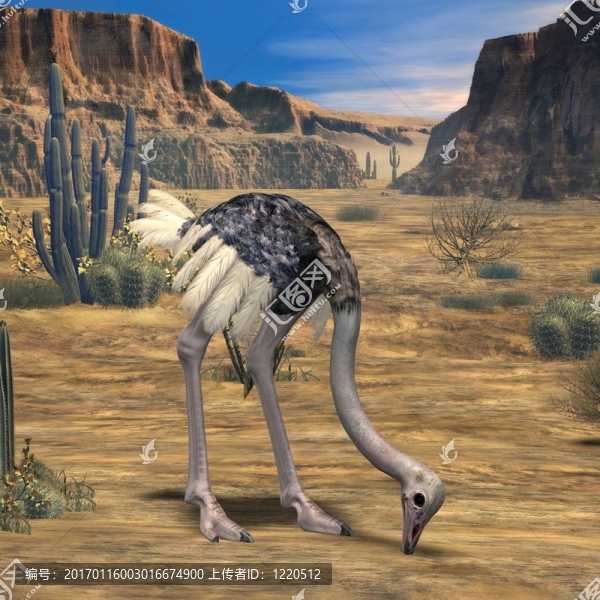 ostrich-3d動物