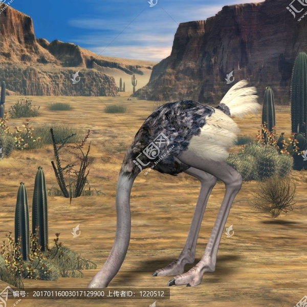 ostrich-3d動物