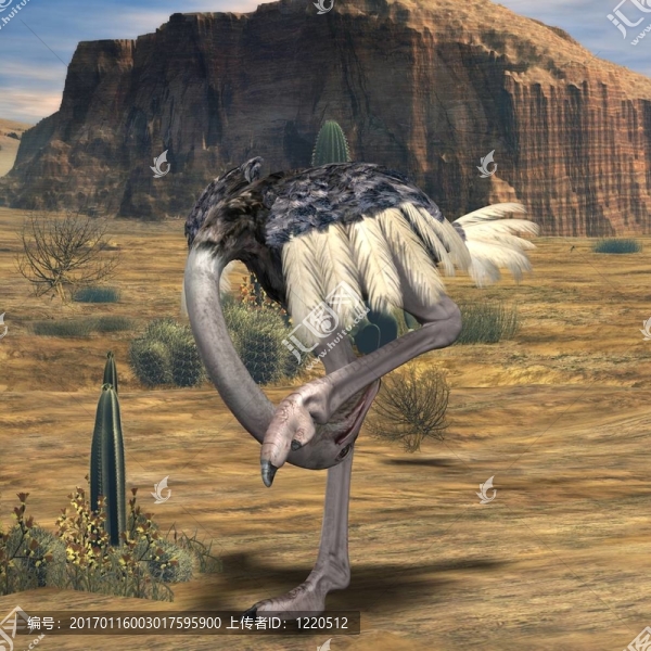 ostrich-3d動(dòng)物
