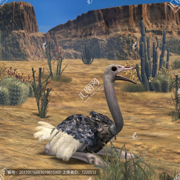 ostrich-3d動(dòng)物