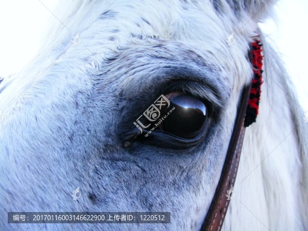 equino日落