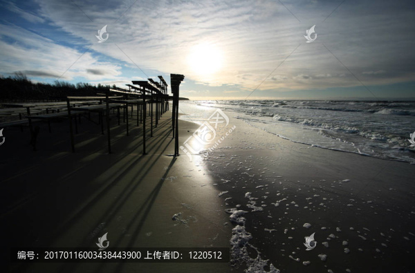 波羅的海