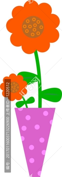 花瓶里的花