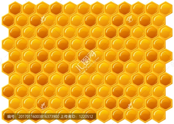 蜂窩-匯圖網(wǎng) www.fosd68.com 蜂窩