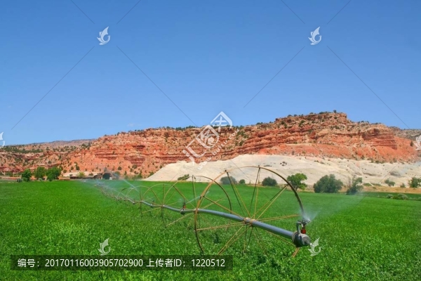 紅石農(nóng)場(chǎng)7-匯圖網(wǎng) www.fosd68.com 紅石農(nóng)場(chǎng)7