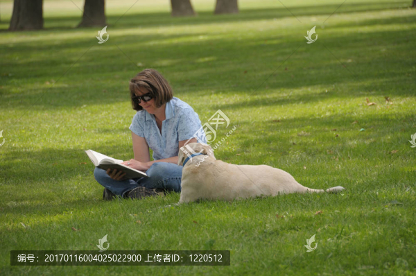 在公園里讀書的女人