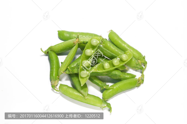 成熟的豌豆分離