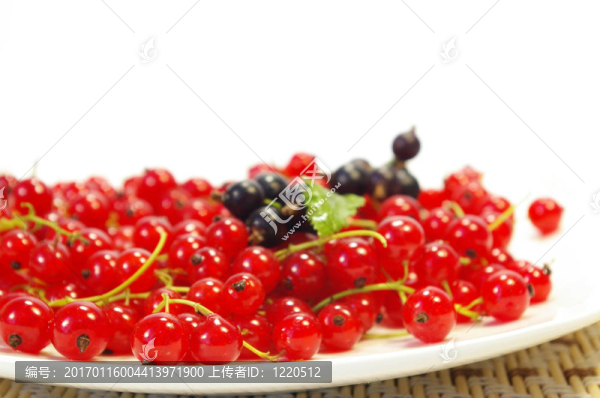 紅與黑加侖