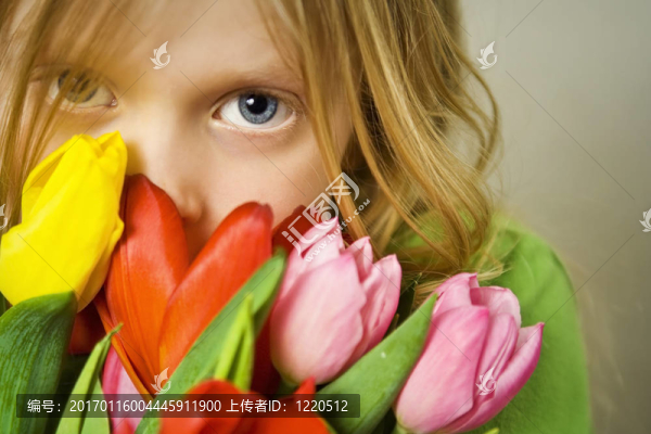 女孩，TULPs