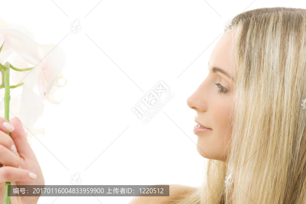 白蘭花
