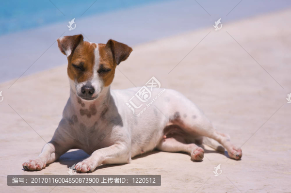 ??；夏天！